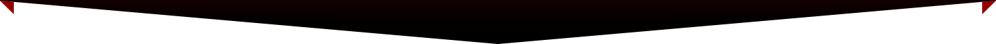 home page bottom trigon image
